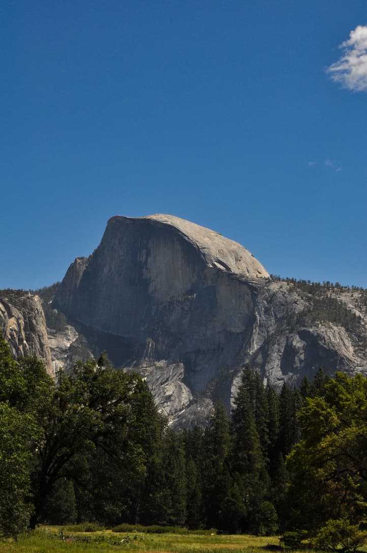 moments — 6F7A4182-0136-4927-B3D4-3C70914C41C0_1_105_c.jpeg