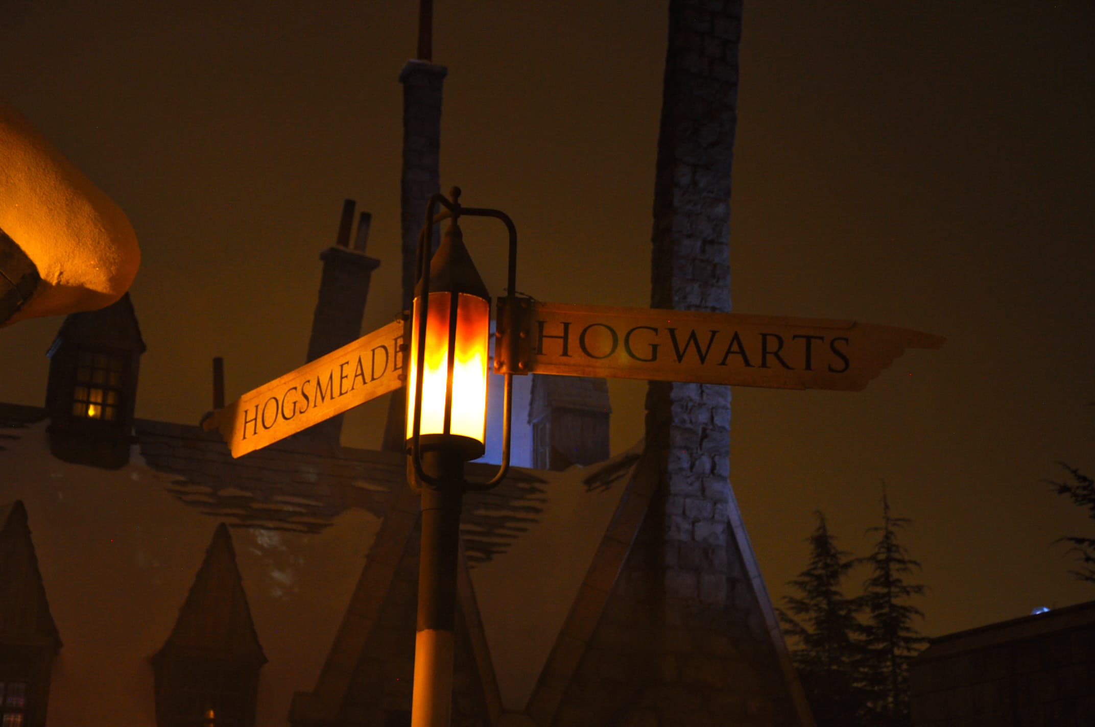 moments — DSC_0387.JPG