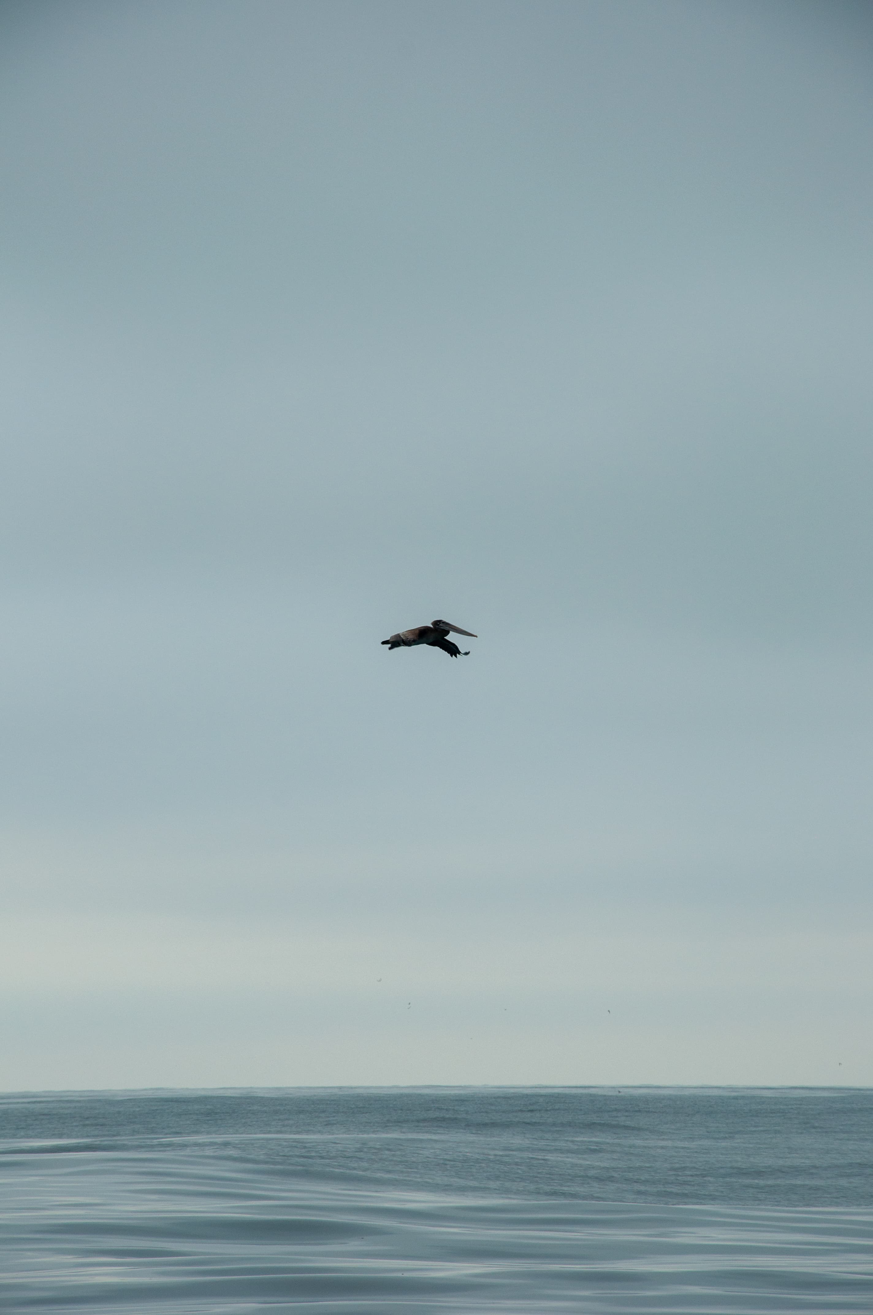 moments — DSC_0653.jpg