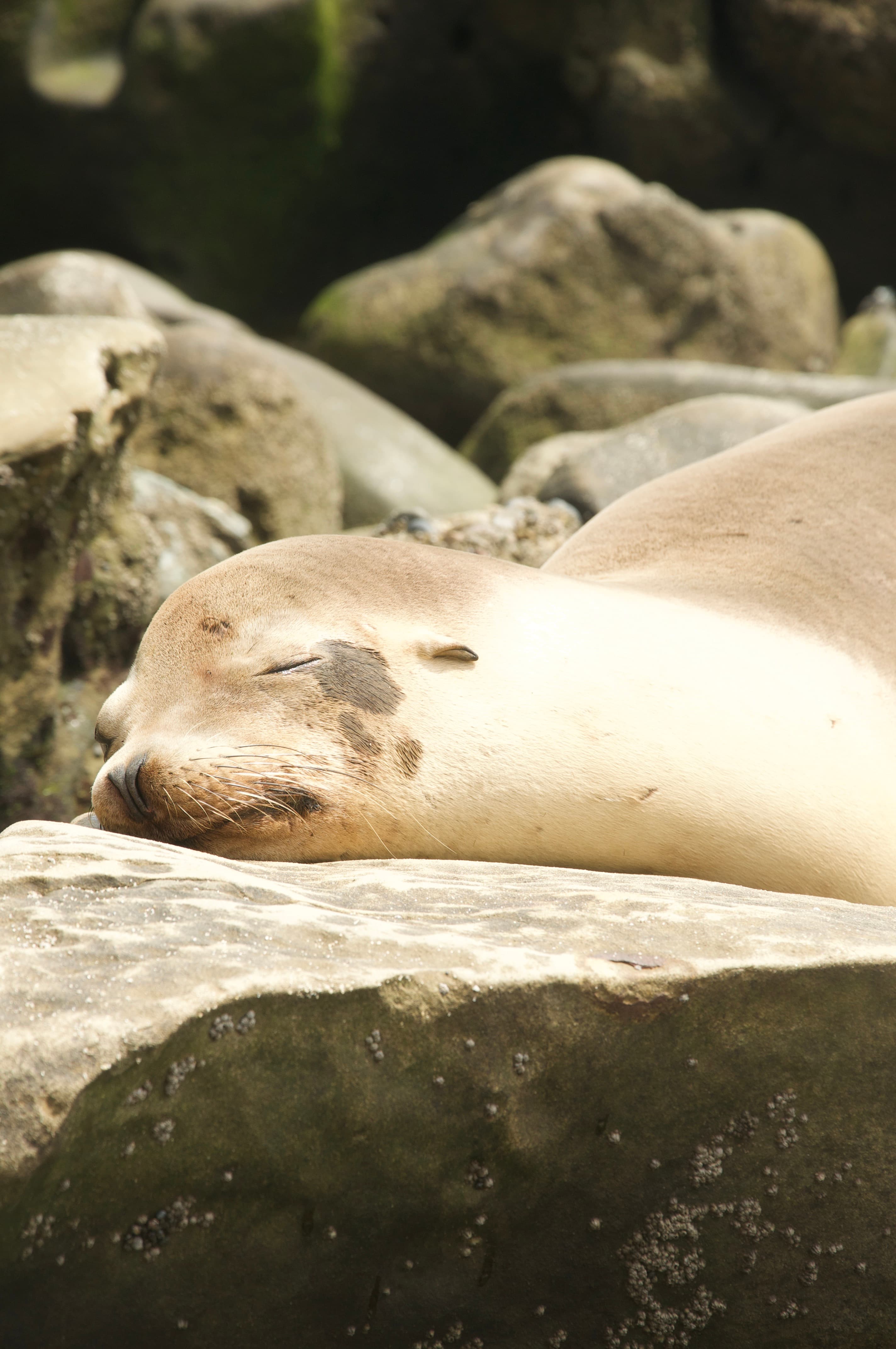 moments — DSC_0693.jpeg