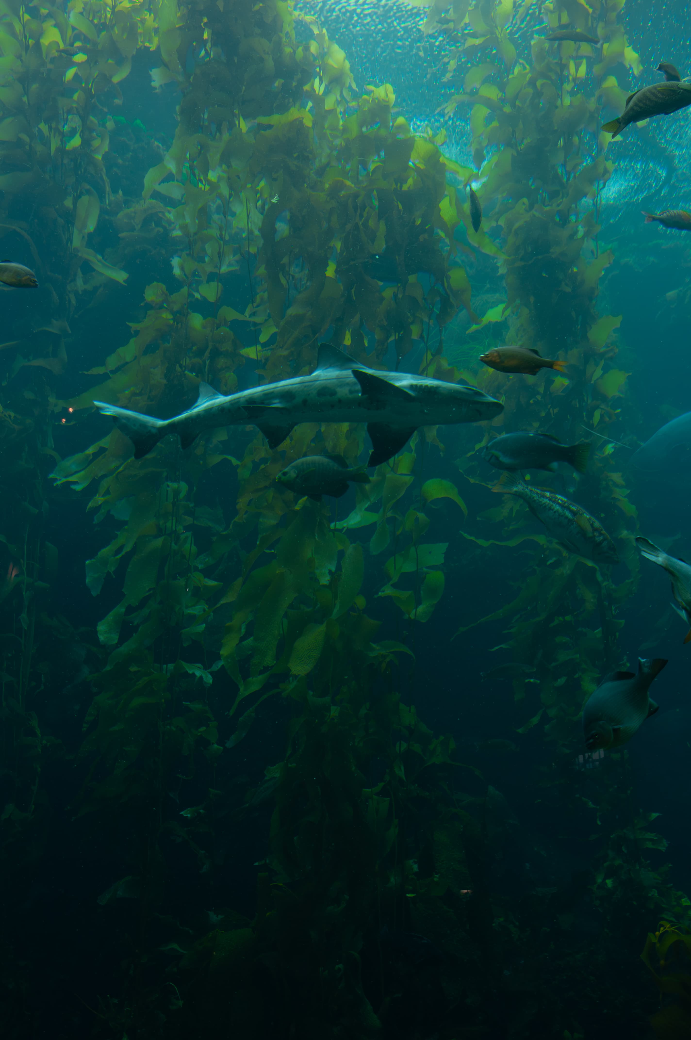 moments — DSC_0803-Enhanced-NR.jpg